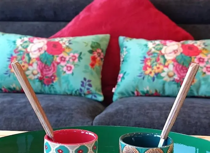 Daire La Toue Belle De Maine - Bateau Traditionnel De La Loire *