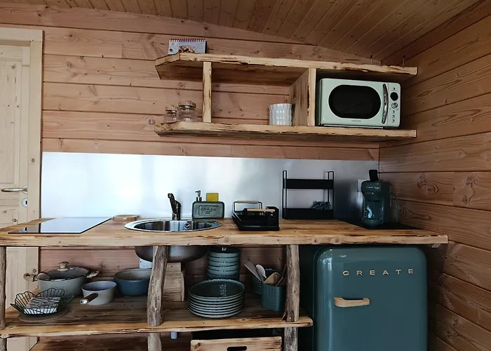 La Toue Belle De Maine - Bateau Traditionnel De La Loire * Angers