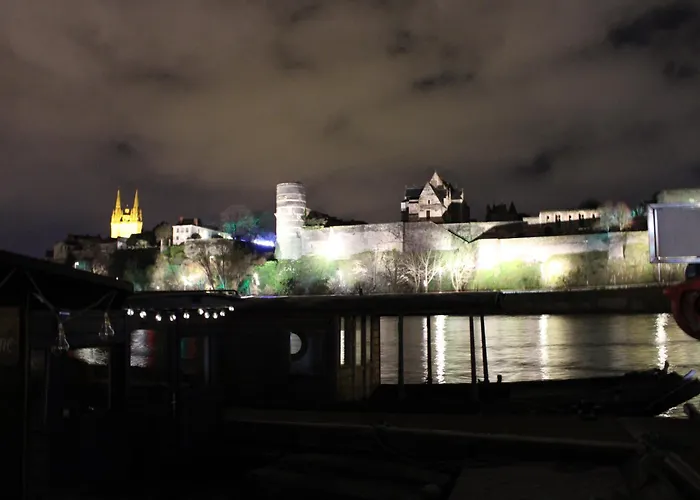 La Toue Belle De Maine - Bateau Traditionnel De La Loire Daire *